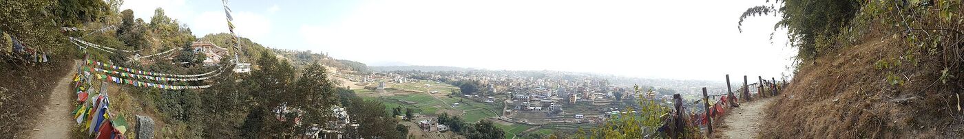 Field-note photograph 6