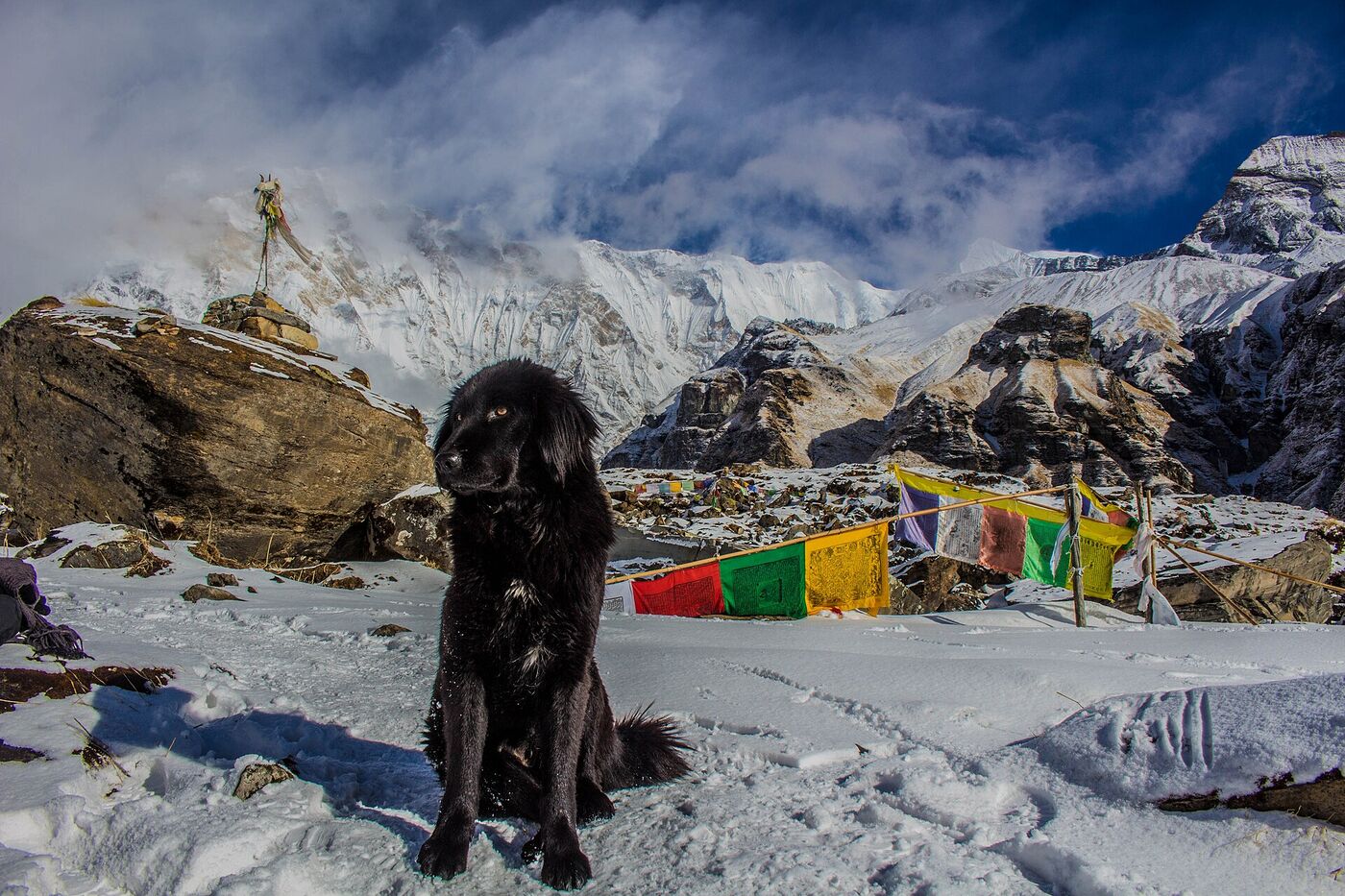 Annapurna 2018 2